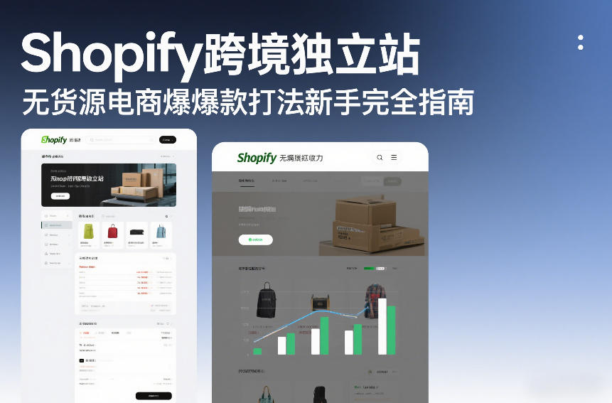 Shopify跨境独立站无货源电商爆款打法新手完全指南-heijinzy