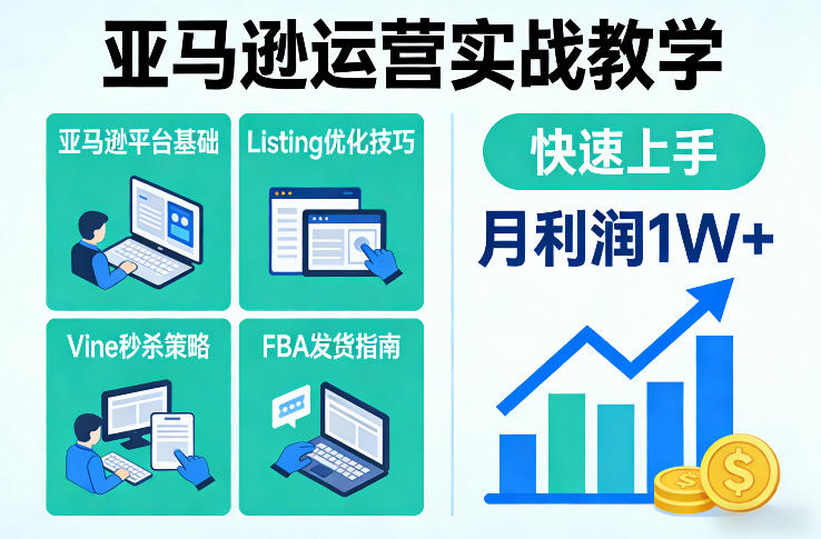 亚马逊运营实战教学，亚马逊平台+Listing优化+Vine秒杀+FBA发货等，快速上手，实现店铺月利润1W-heijinzy