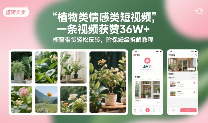 植物类情感类短视频，一条视频获赞36W+，橱窗带货轻松玩转，附保姆级拆解教程-heijinzy