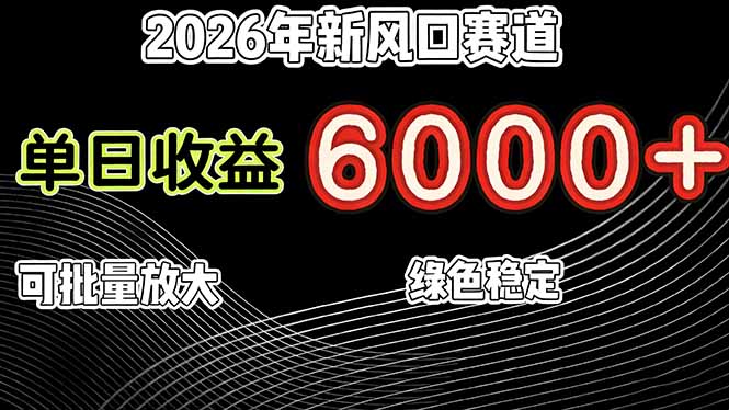 2026年新风口赛道，当日6000+以上，可批量放大，月收入20万+，长期绿色稳定的项目-heijinzy