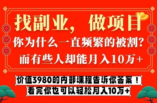 价值3980的网创内部课程，告诉你互联网创业月入10个W的秘密【揭秘】-heijinzy