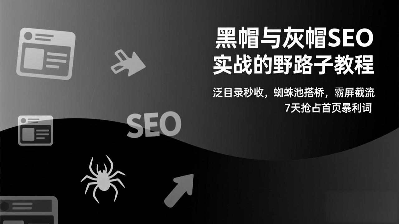 黑帽与灰帽SEO实战的野路子教程：泛目录秒收，蜘蛛池搭桥，霸屏截流，7天抢占首页暴利词-heijinzy