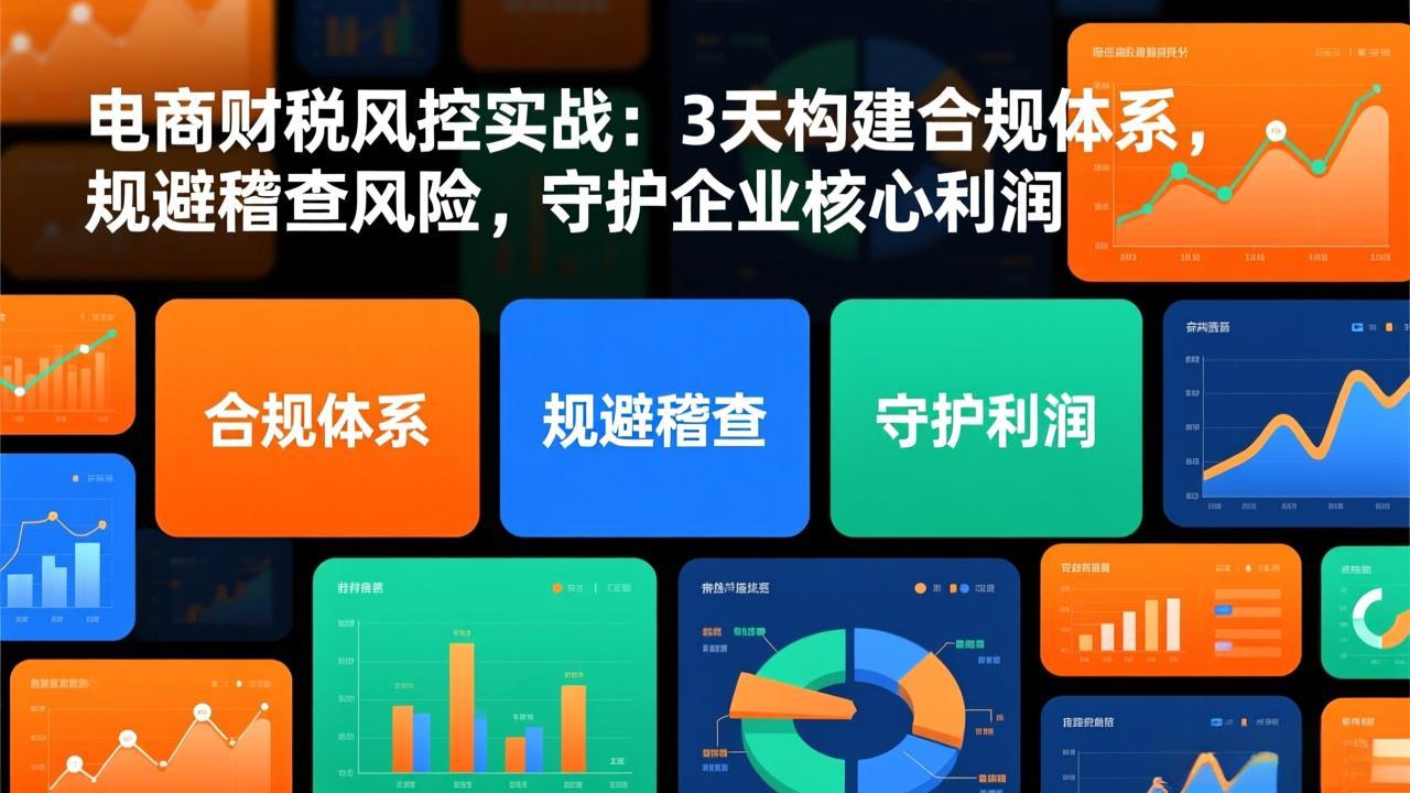 电商财税风控实战：3天构建合规体系，规避稽查风险，守护企业核心利润-heijinzy