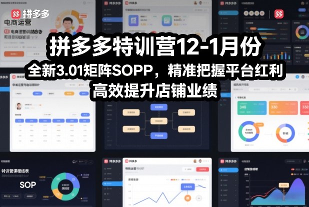 拼多多特训营12-1月份，全新3.01矩阵Sop，精准把握平台红利，高效提升店铺业绩-heijinzy