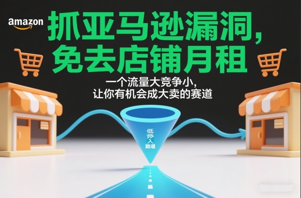 抓亚马逊漏洞，免去店铺月租，一个流量大竞争小，让你有机会成大卖的赛道-heijinzy