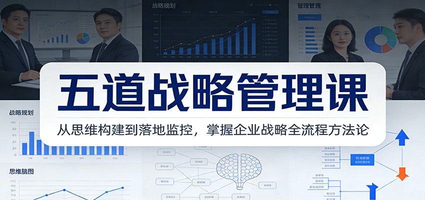 五道战略管理课：从思维构建到落地监控，掌握企业战略全流程方法论-heijinzy