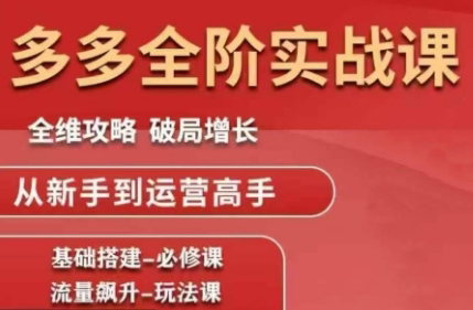 大炮·拼多多全阶实战课程(更新2026)-heijinzy