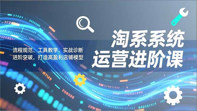 淘系系统运营进阶课2.0，流程规范、工具教学、实战诊断，进阶突破，打造高盈利店铺模型-heijinzy