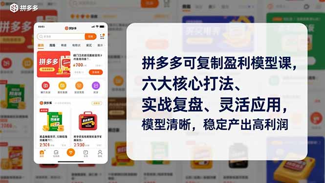 拼多多可复制盈利模型课，六大核心打法、实战复盘、灵活应用，模型清晰，稳定产出高利润-heijinzy
