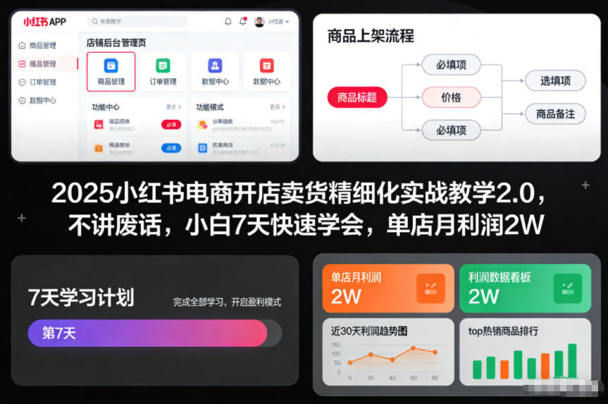 2025小红书电商开店卖货精细化实战教学2.0，不讲废话，小白7天快速学会，单店月利润2W-heijinzy