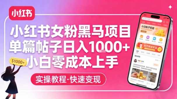 小红书女粉黑马项目，单篇帖子日入1k+，小白零成本上手-heijinzy