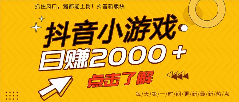2025年爆火的抖音小游戏项目，一部手机日入2000+-heijinzy