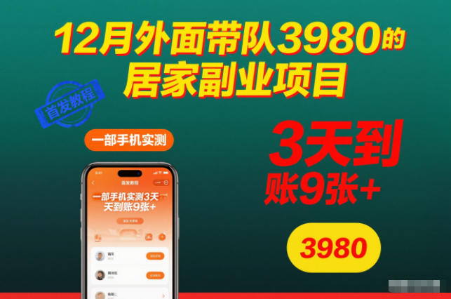 12月外面带队3980的居家副业项目，一部手机实测3天到账9张+，首发教程【揭秘】-heijinzy