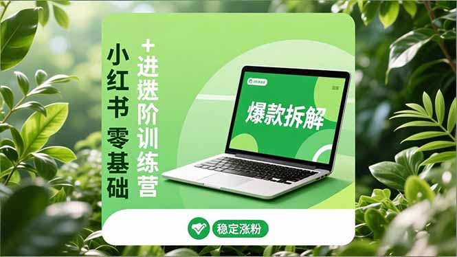 小红书零基础+高阶训练营：安全养号、爆款拆解、长效运营，实现稳定涨粉与变现-heijinzy