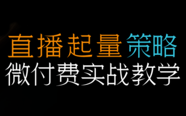 半野老师·直播带货起量与微付费必学课视频号-heijinzy