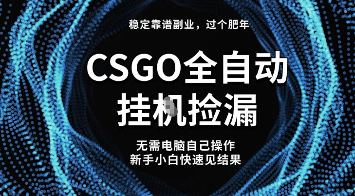 【稳定副业】全球最热门游戏CSGO全自动捡漏，最新玩法，新手小白日入5张+【揭秘】-heijinzy
