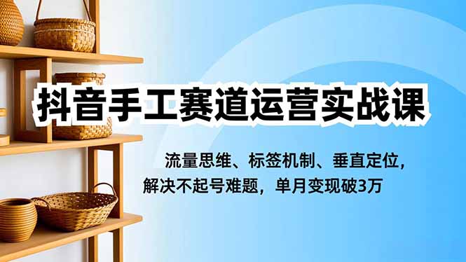 抖音手工赛道运营实战课，流量思维、标签机制、垂直定位，解决不起号难题，单月变现破3万-heijinzy