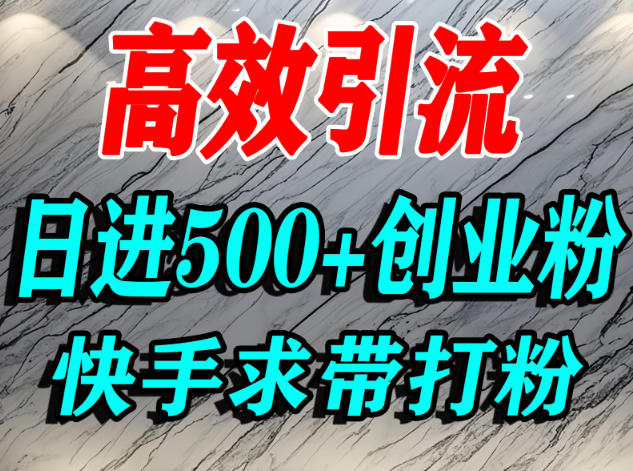 怎么打创业粉？快手求带视角精准引流创业粉，宝妈、学生群体日进500+精准流量-heijinzy