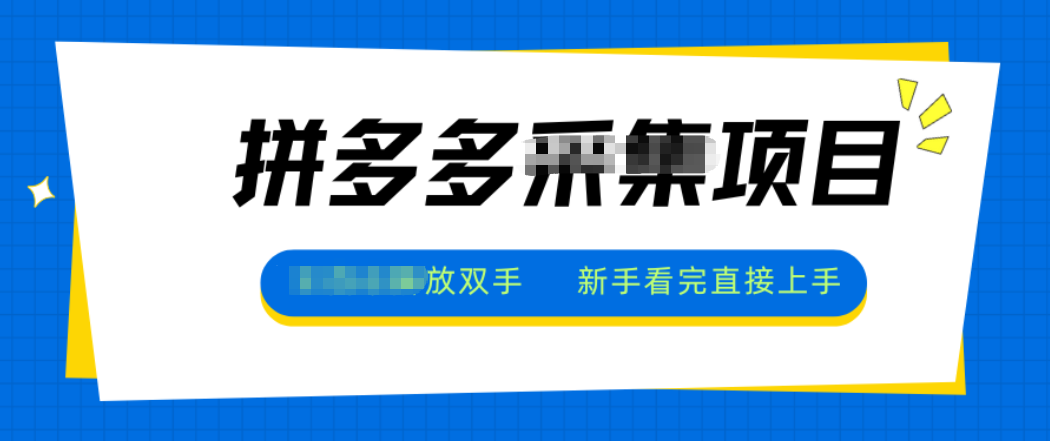 拼多多电商采集，一小时50+，操作简单，零投资-heijinzy