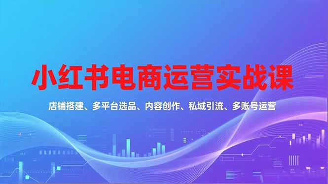 小红书电商运营实战课，店铺搭建、多平台选品、内容创作、私域引流、多账号运营等玩法-heijinzy