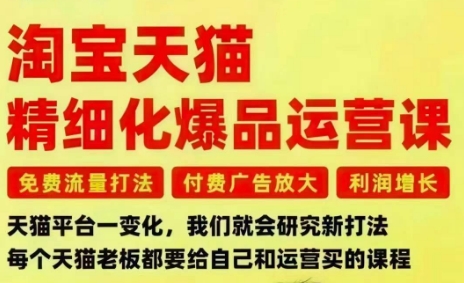 淘宝天猫精细化爆品运营课，免费流量打法-付费广告放大-利润增长-三大核心痛点，一次全部解决-heijinzy