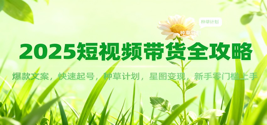 2025短视频带货全攻略：爆款文案，快速起号，种草计划，星图变现，新手零门槛上手-heijinzy
