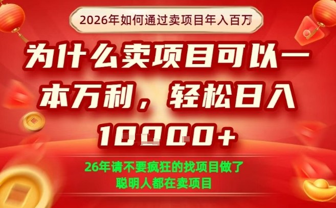 一单净利润1K+，26年想年入100个W，死磕卖项目就够了【揭秘】-heijinzy